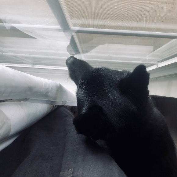 Meet your Posher, Catherine - Picture 4 of 7